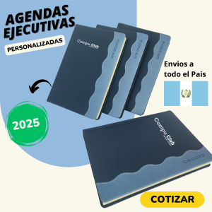 Agenda ejecutiva Azul/Celeste