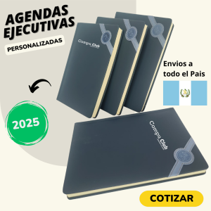 Agenda ejecutiva azul/celeste