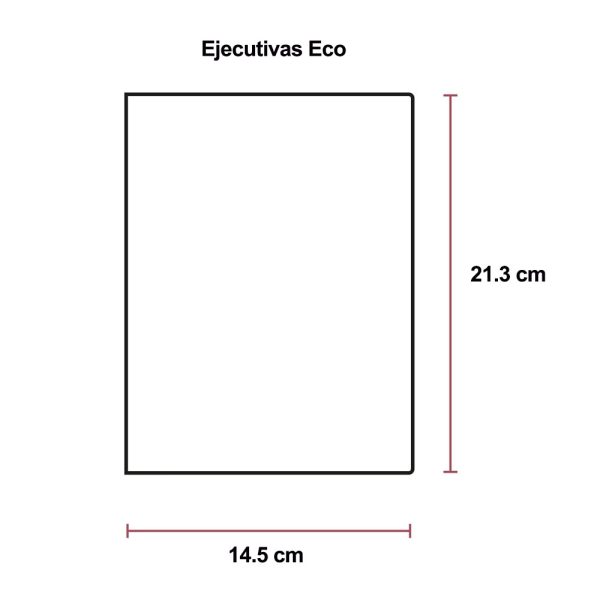 medidas agendas ejecutivas